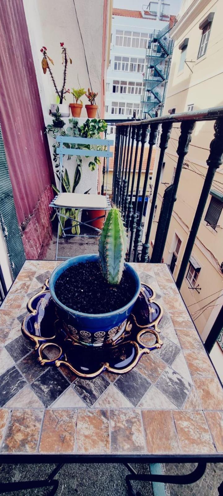 Charming Central Apartment To Rent Lisboa Eksteriør billede